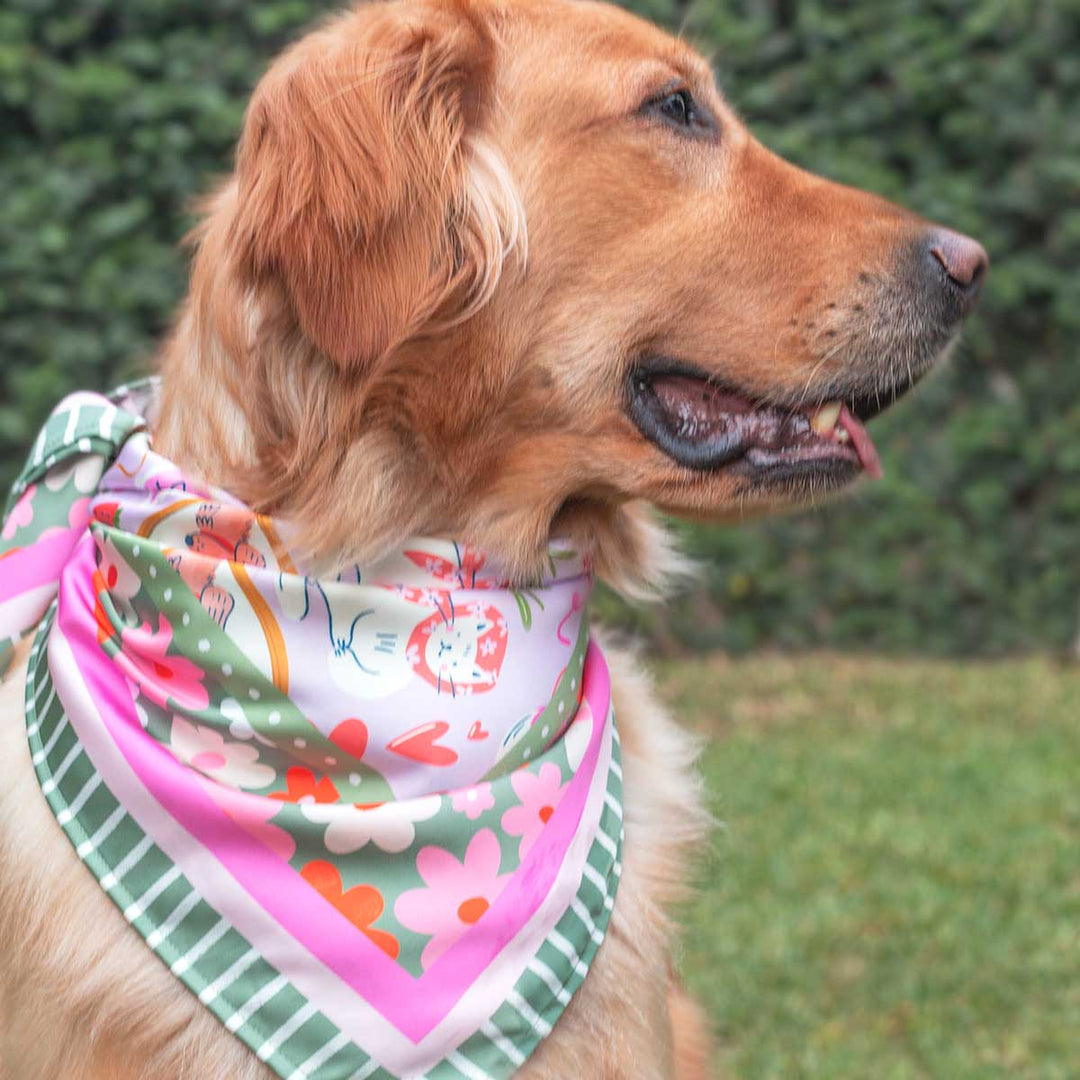 XL Scarf – Romantic Days